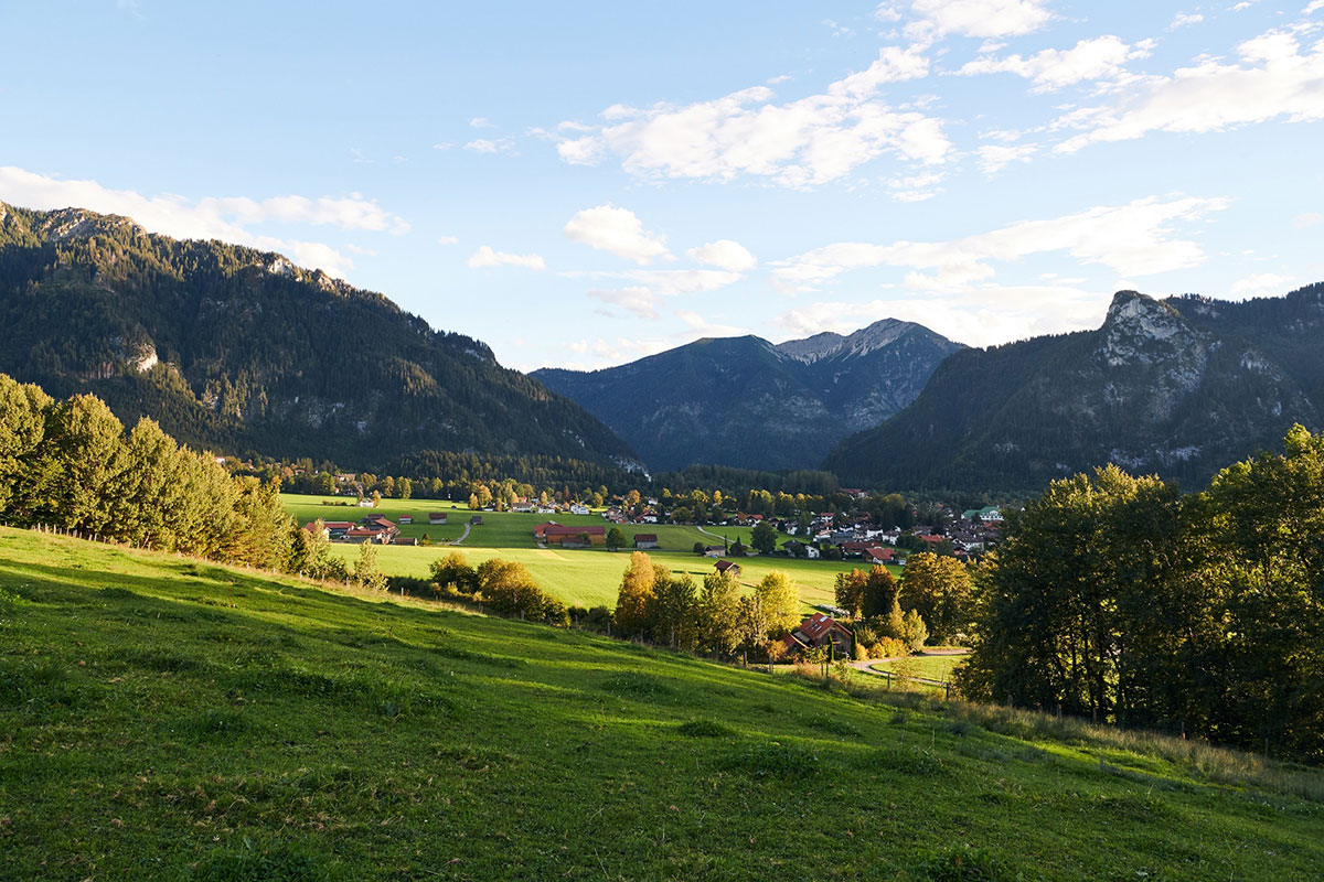 Murnau Werdenfelser Rind