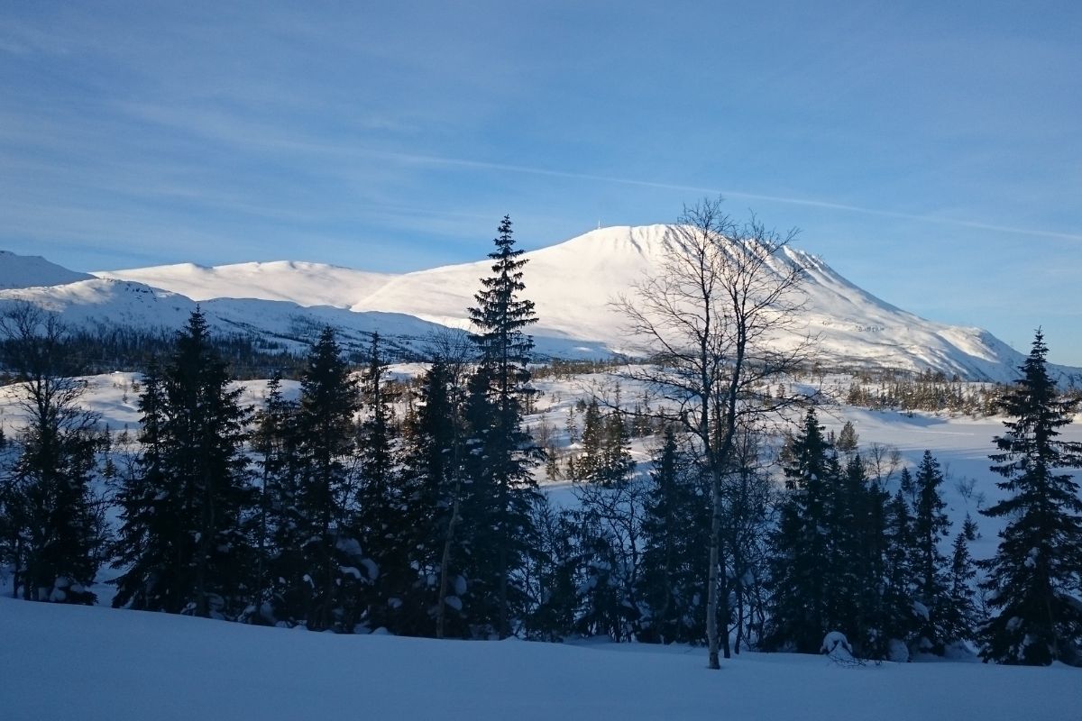 Kuppiertes Gelände in Telemark
