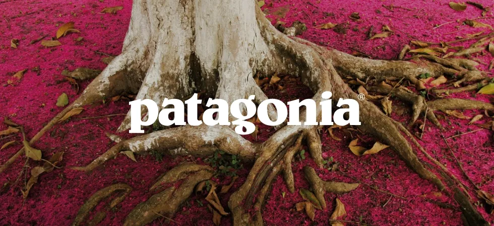 Baumstamm mit freiliegenden Wurzeln auf einem Boden aus pinken Blüten, Patagonia Logo oben rechts.
