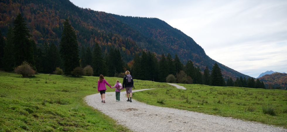 Family hiking along a wide trail across a green alpine meadow with mountain forest in the background.