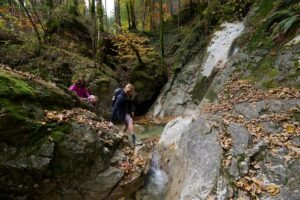 Family hiking through a rocky forest gorge with a small stream.